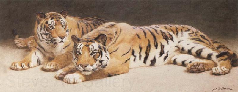 John Charles Dollman Two Wild Tigers Norge oil painting art